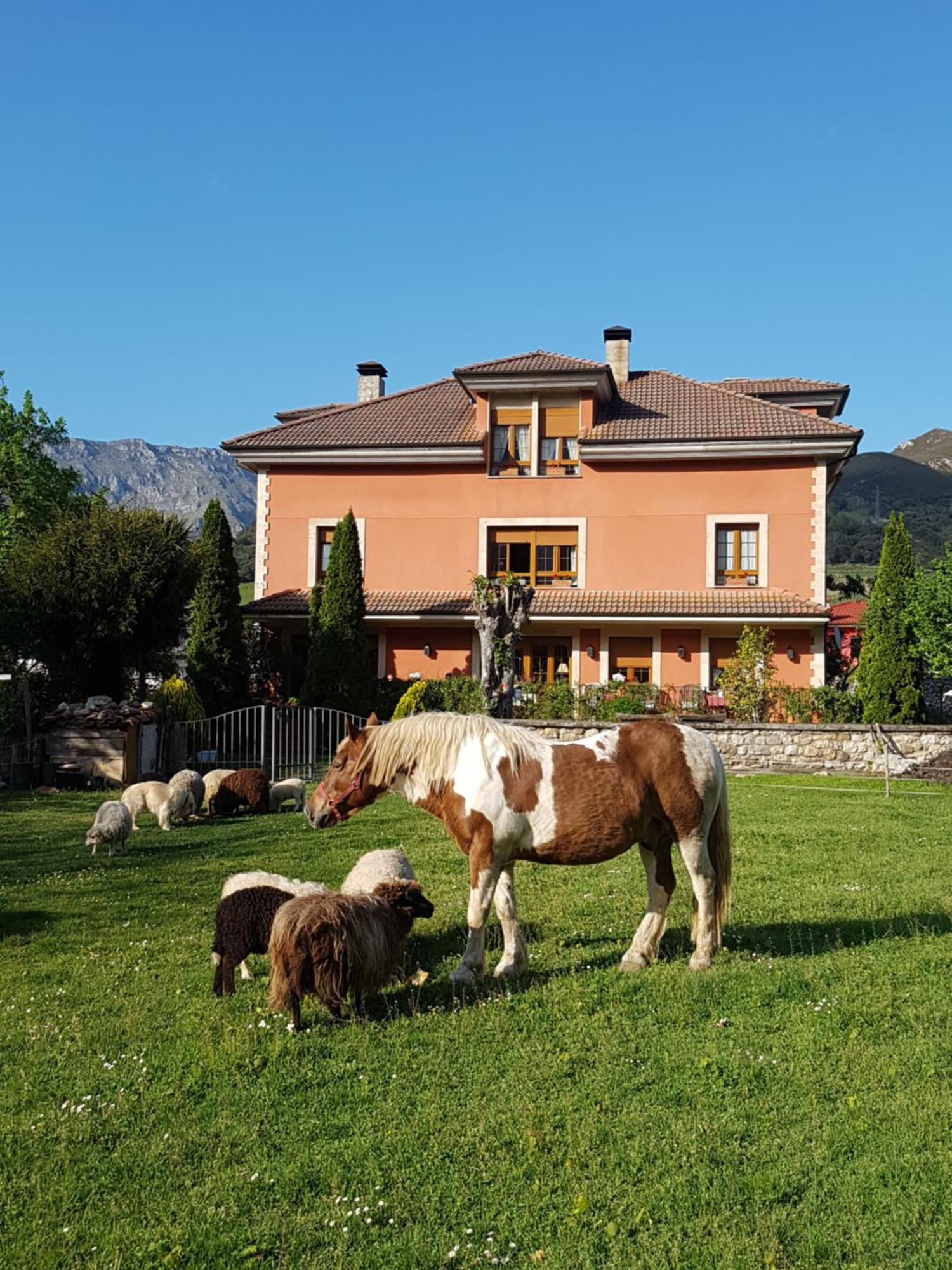 Hotel Rural El Torrejon Arenas De Cabrales Exterior foto